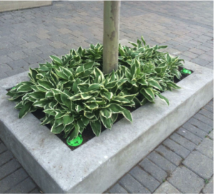 image4a