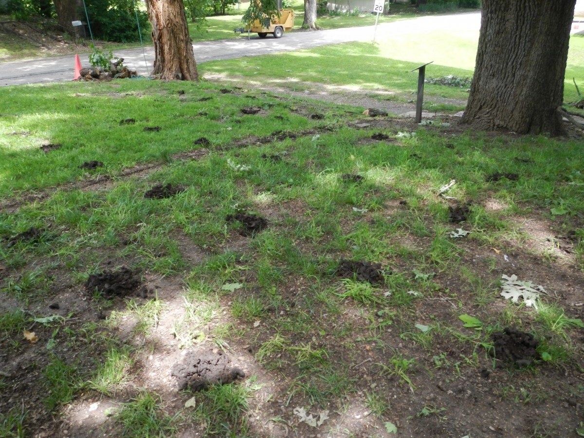 Vertical-Mulching