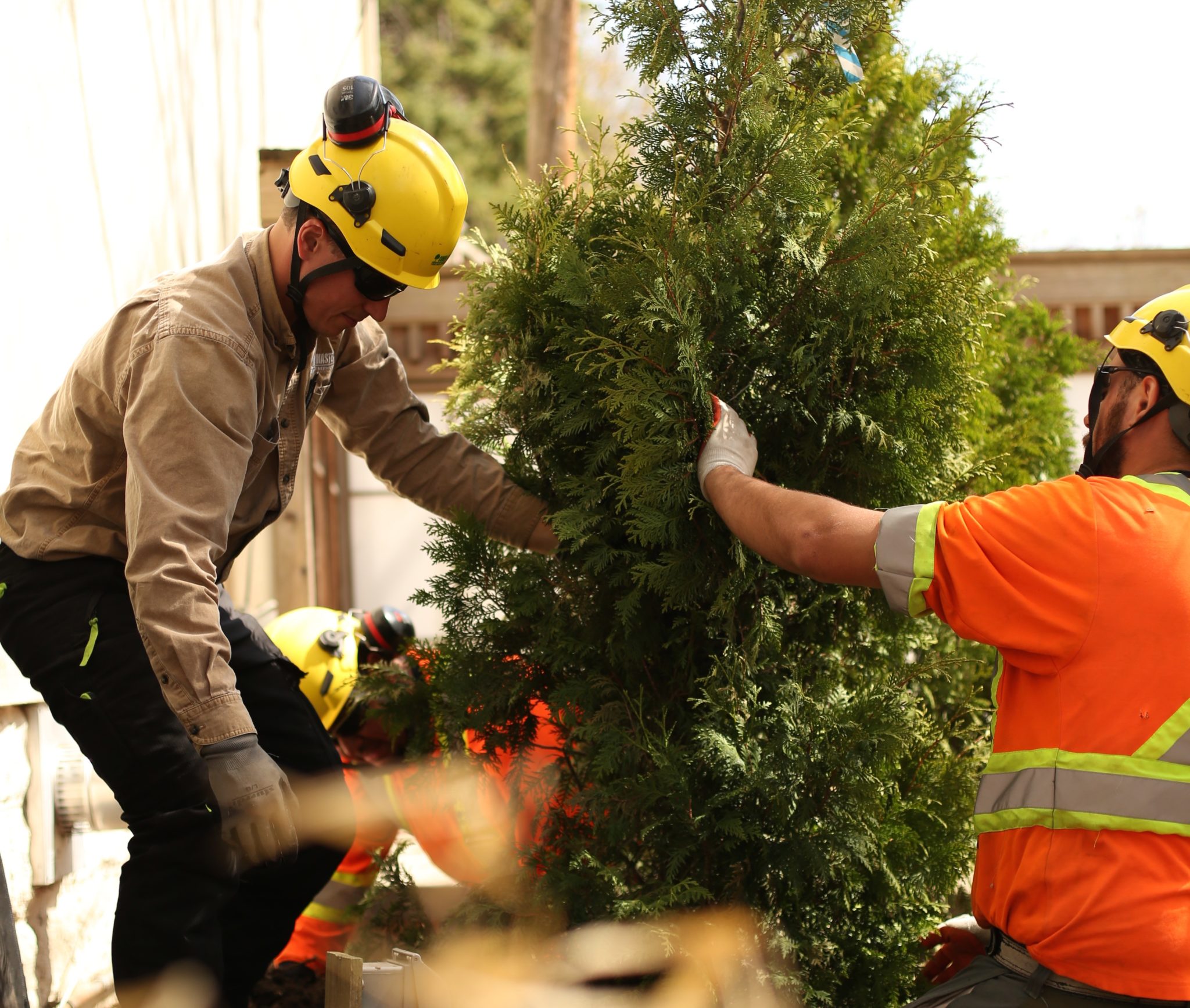 CCCL0332-e1440508096775