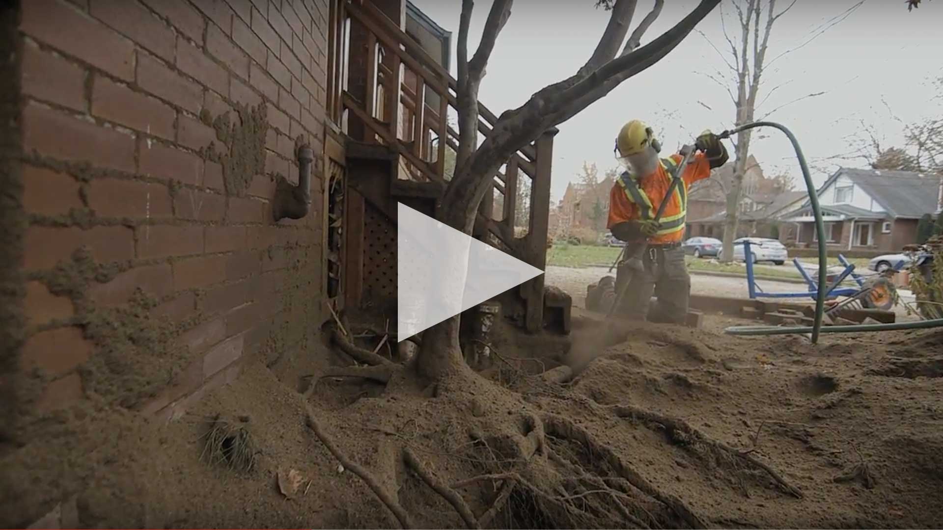 TREE TRANSPLANT