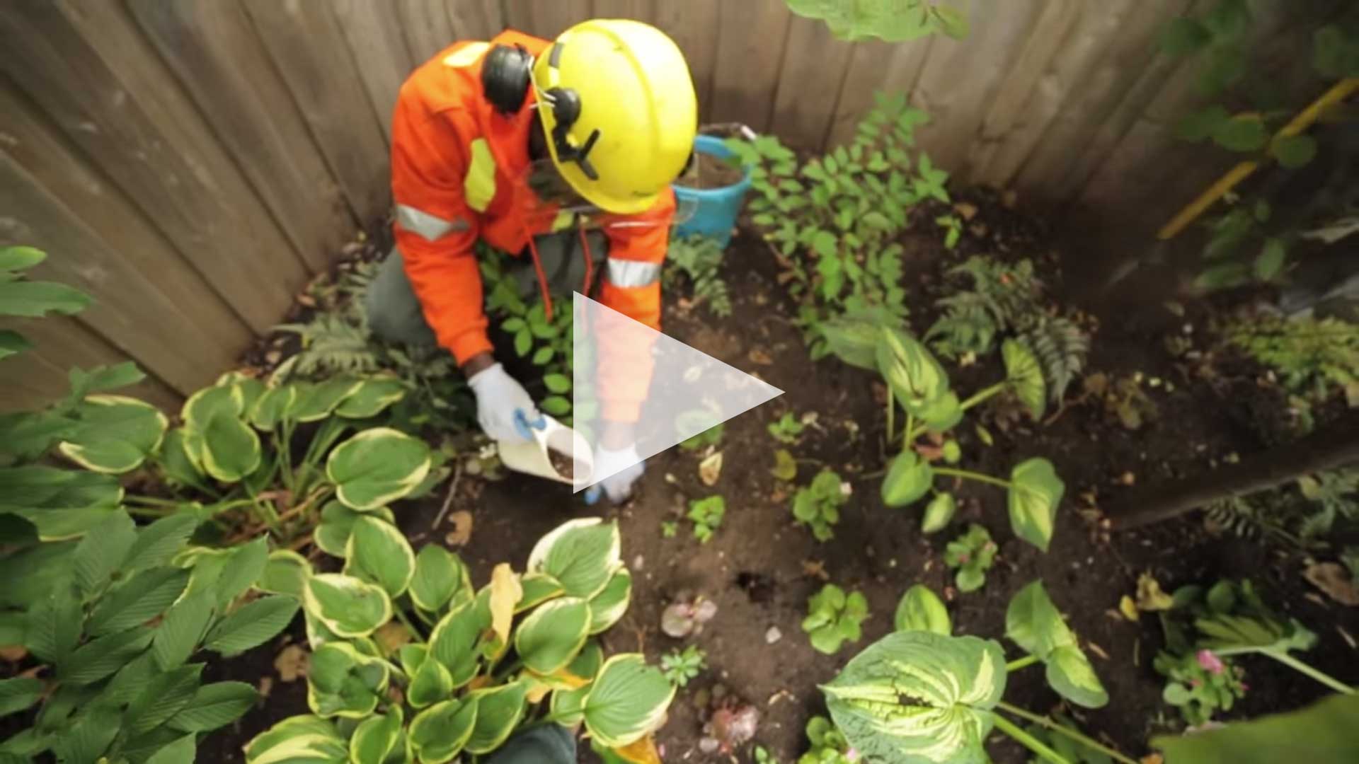 ROOT & SOIL CARE 2015