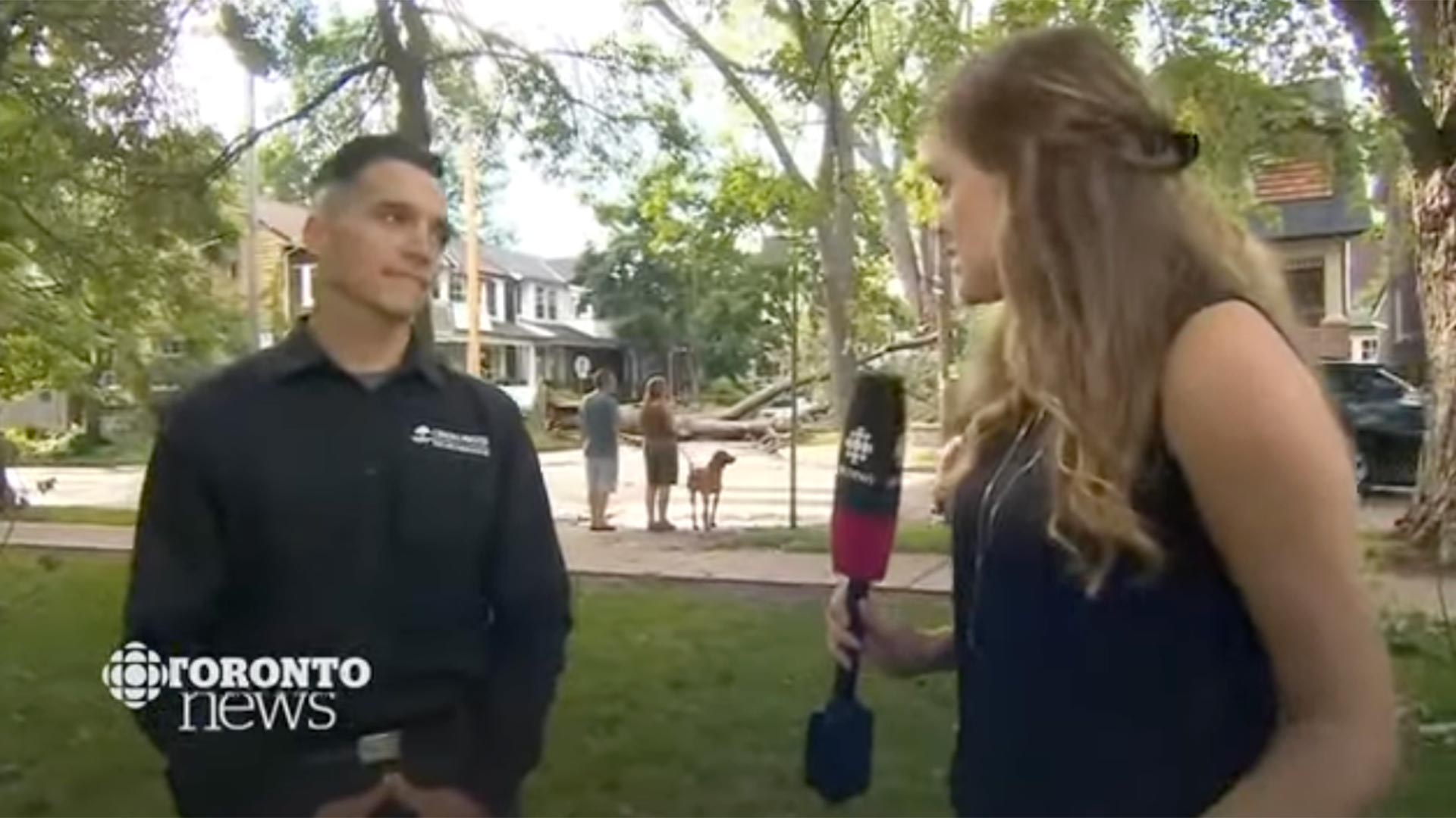 Tait Talks With CBC News About Storms and Toronto's Trees