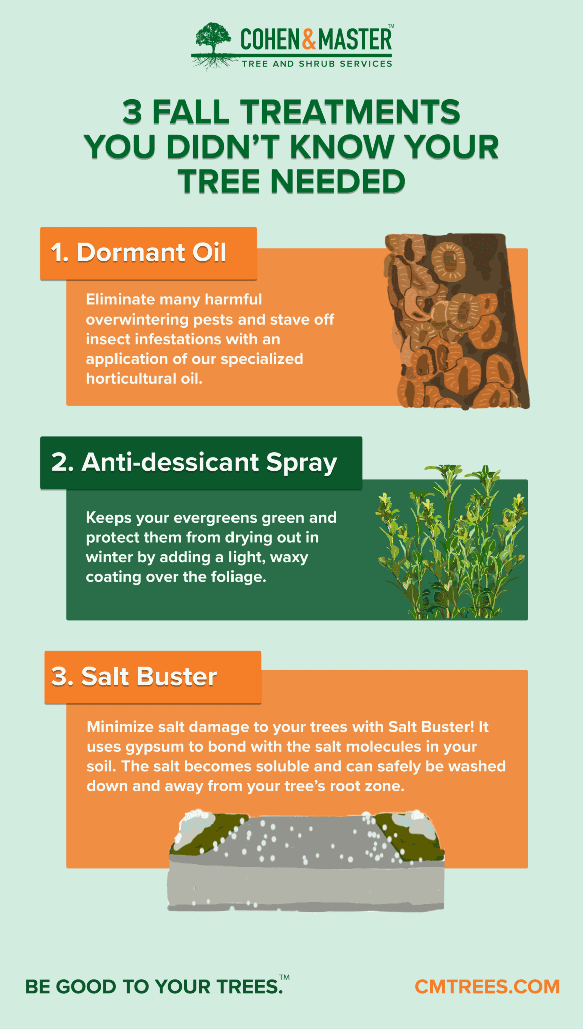 3 Fall Treatments
