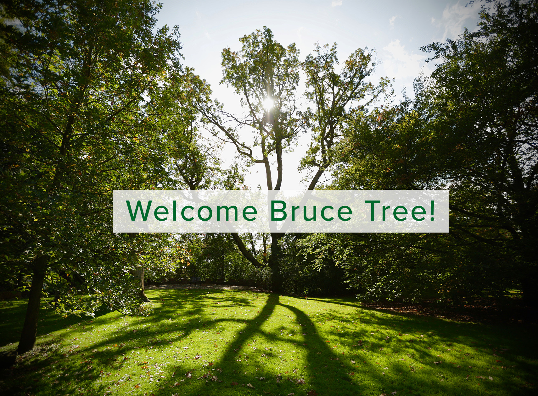 WelcomeBT copy