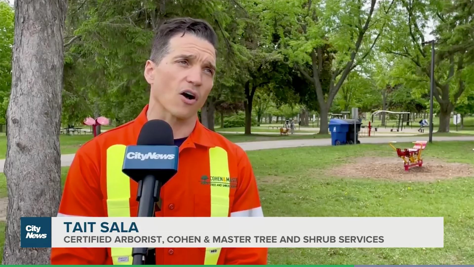 CITYTV - WHO IS RESPONSIBLE FOR PAYING TO REMOVE DOWNED PRIVATE TREES AFTER A STORM?