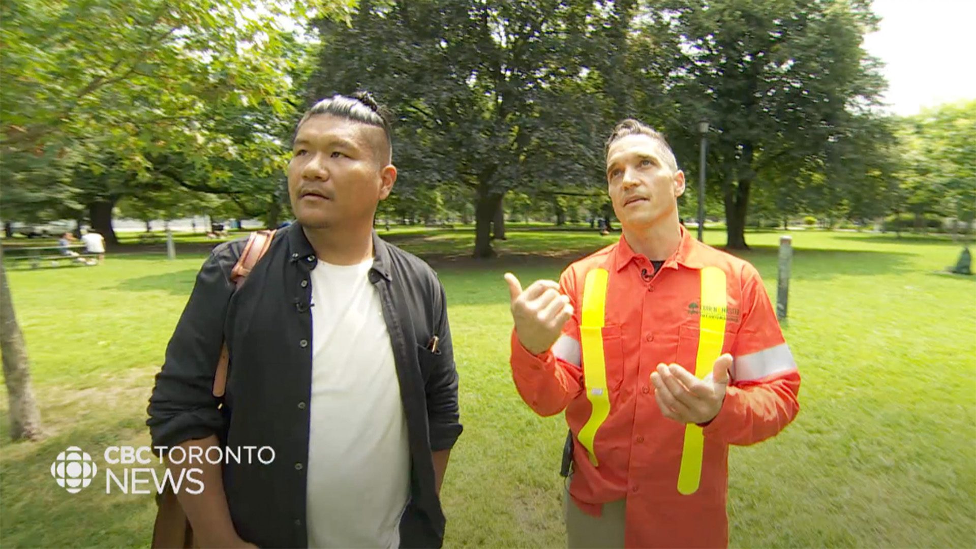 CBC NEWS - TAIT SPEAKS WITH CBC NEWS AFTER FATAL TREE FAILURE IN TRINITY BELLWOODS PARK